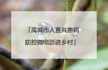 禹城市人畜共患病防控微电影进乡村