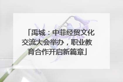 禹城：中菲经贸文化交流大会举办，职业教育合作开启新篇章