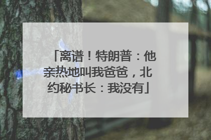 离谱！特朗普：他亲热地叫我爸爸，北约秘书长：我没有