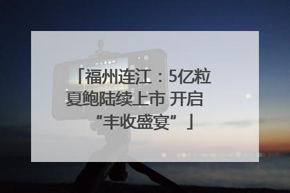 福州连江：5亿粒夏鲍陆续上市 开启“丰收盛宴”