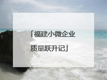 福建小微企业质量跃升记