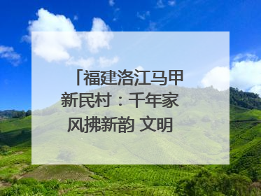 福建洛江马甲新民村：千年家风拂新韵 文明之花绽乡野