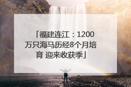 福建连江：1200万只海马历经8个月培育 迎来收获季
