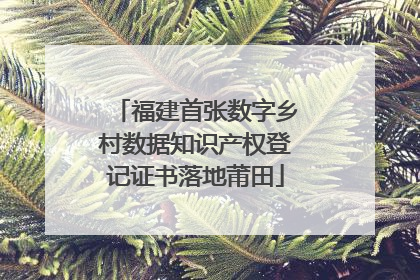 福建首张数字乡村数据知识产权登记证书落地莆田
