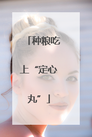 种粮吃上“定心丸”