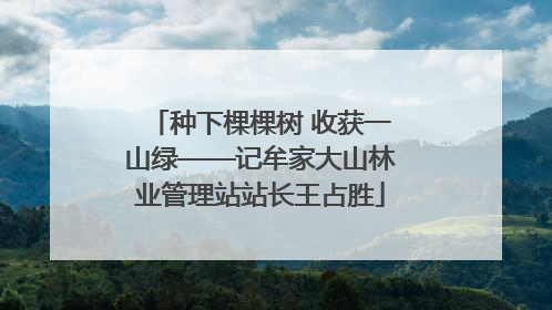 种下棵棵树 收获一山绿——记牟家大山林业管理站站长王占胜