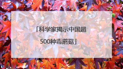 科学家揭示中国超500种毒蘑菇