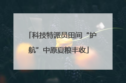 科技特派员田间“护航”中原夏粮丰收