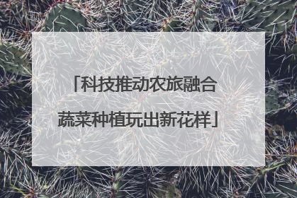 科技推动农旅融合 蔬菜种植玩出新花样