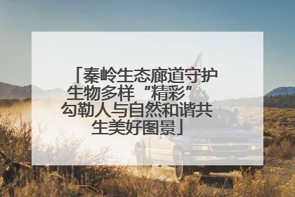 秦岭生态廊道守护生物多样“精彩” 勾勒人与自然和谐共生美好图景