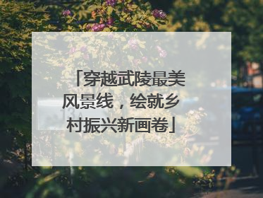 穿越武陵最美风景线，绘就乡村振兴新画卷