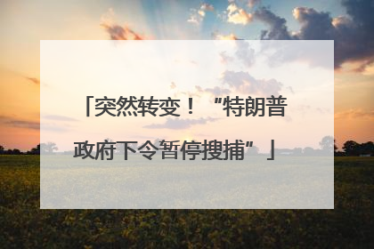 突然转变！“特朗普政府下令暂停搜捕”