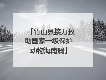 竹山县接力救助国家一级保护动物海南鳽