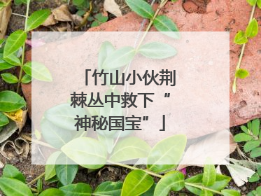 竹山小伙荆棘丛中救下“神秘国宝”