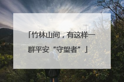 竹林山间，有这样一群平安“守望者”
