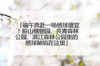 端午奔赴一场绣球盛宴！辰山植物园、共青森林公园、滨江森林公园里的绣球秘境在这里