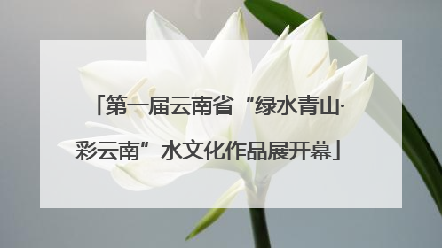 第一届云南省“绿水青山·彩云南”水文化作品展开幕
