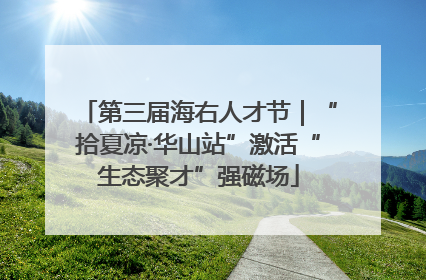 第三届海右人才节｜“拾夏凉·华山站”激活“生态聚才”强磁场