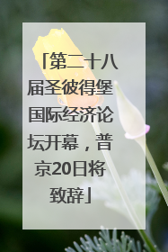 第二十八届圣彼得堡国际经济论坛开幕，普京20日将致辞