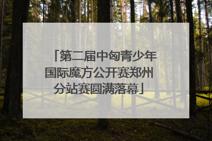 第二届中匈青少年国际魔方公开赛郑州分站赛圆满落幕