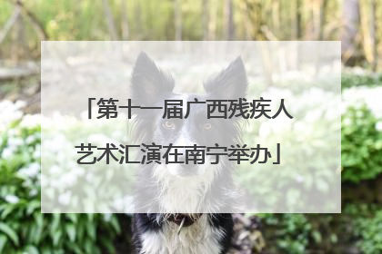 第十一届广西残疾人艺术汇演在南宁举办