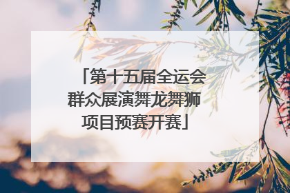 第十五届全运会群众展演舞龙舞狮项目预赛开赛