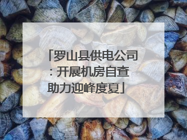 罗山县供电公司：开展机房自查 助力迎峰度夏