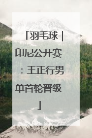 羽毛球｜印尼公开赛：王正行男单首轮晋级