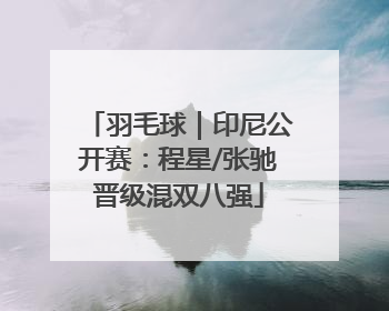 羽毛球｜印尼公开赛：程星/张驰晋级混双八强