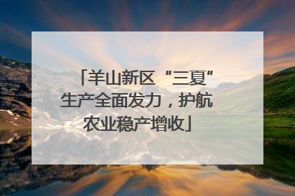 羊山新区“三夏”生产全面发力，护航农业稳产增收