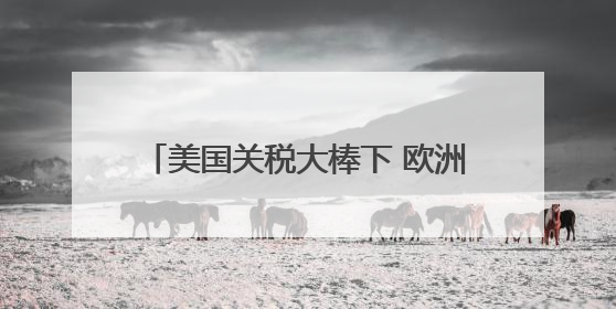 美国关税大棒下 欧洲多行业恐陷生存危机