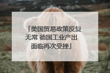 美国贸易政策反复无常 德国工业产出面临再次受挫