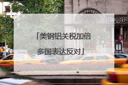 美钢铝关税加倍 多国表达反对
