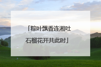 粽叶飘香连湘吐 石榴花开共此时
