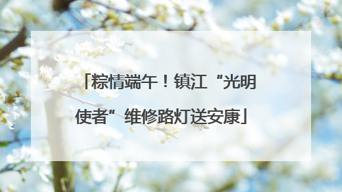 粽情端午！镇江“光明使者”维修路灯送安康