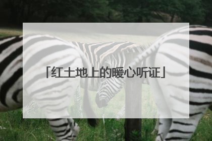 红土地上的暖心听证