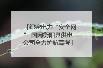 织密电力“安全网” 国网衡阳县供电公司全力护航高考