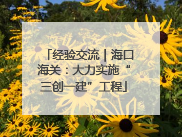 经验交流｜海口海关：大力实施“三创一建”工程