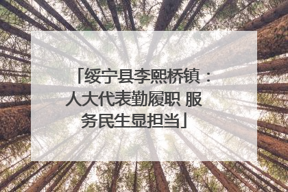 绥宁县李熙桥镇：人大代表勤履职 服务民生显担当
