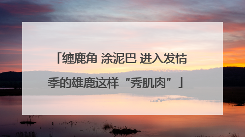 缠鹿角 涂泥巴 进入发情季的雄鹿这样“秀肌肉”