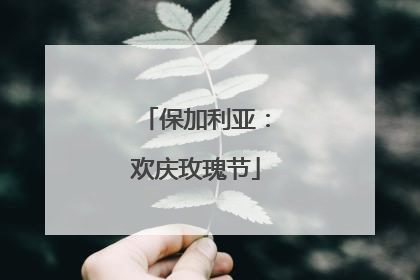 保加利亚：欢庆玫瑰节
