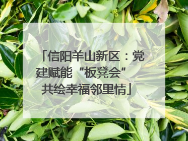 信阳羊山新区：党建赋能“板凳会” 共绘幸福邻里情