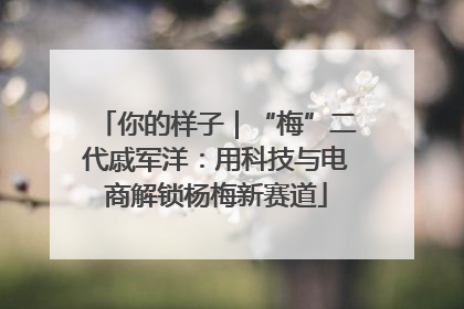 你的样子｜“梅”二代戚军洋：用科技与电商解锁杨梅新赛道