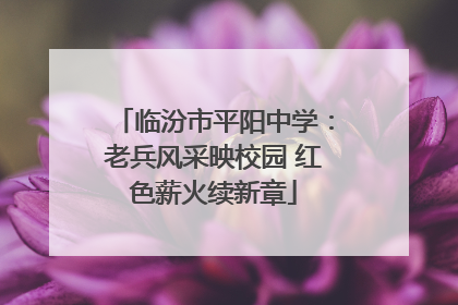 临汾市平阳中学：老兵风采映校园 红色薪火续新章