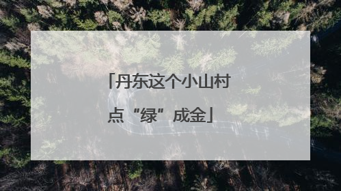 丹东这个小山村点“绿”成金