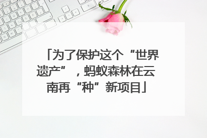 为了保护这个“世界遗产”，蚂蚁森林在云南再“种”新项目