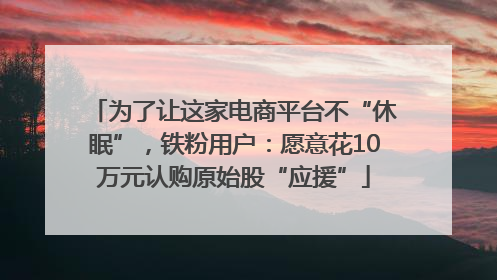 为了让这家电商平台不“休眠”，铁粉用户：愿意花10万元认购原始股“应援”