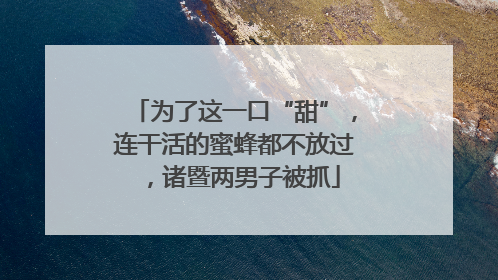 为了这一口“甜”，连干活的蜜蜂都不放过，诸暨两男子被抓