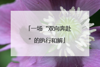 一场“双向奔赴”的执行和解