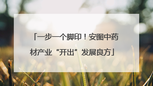 一步一个脚印！安图中药材产业“开出”发展良方